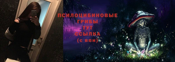 шишки Алексеевка