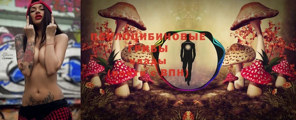 мет Абинск